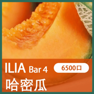 ILIA BAR4哩亞4代一次性拋棄式電子煙6500口|哈密瓜