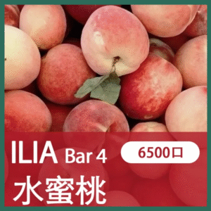 ILIA BAR4哩亞4代一次性拋棄式電子煙6500口|水蜜桃